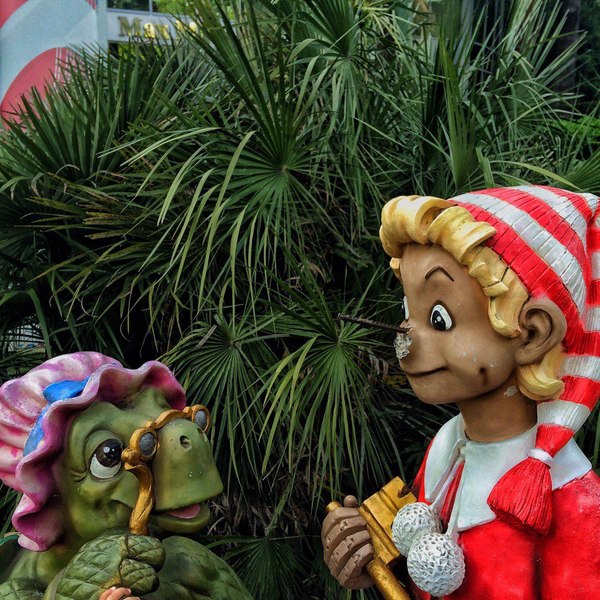 ����� ����...