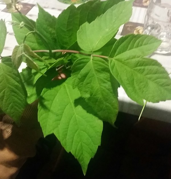 ��������! ��� �� ������?