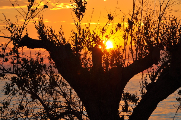 Battle of sunsets - My, Sunset, Greece, Halkidiki, Longpost