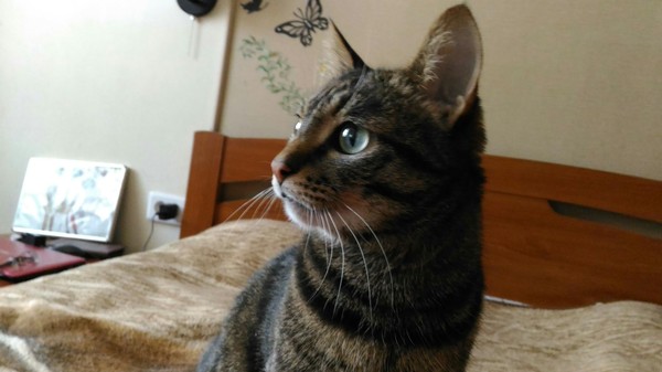 ��� �� ����� ���