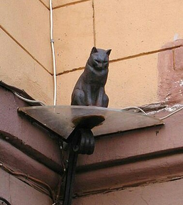Ограбили кота | Пикабу