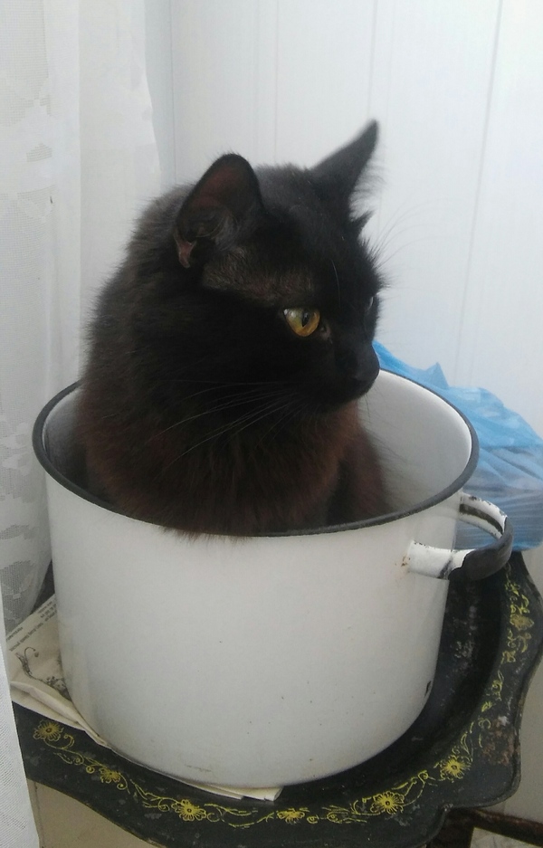 ������ �� ����