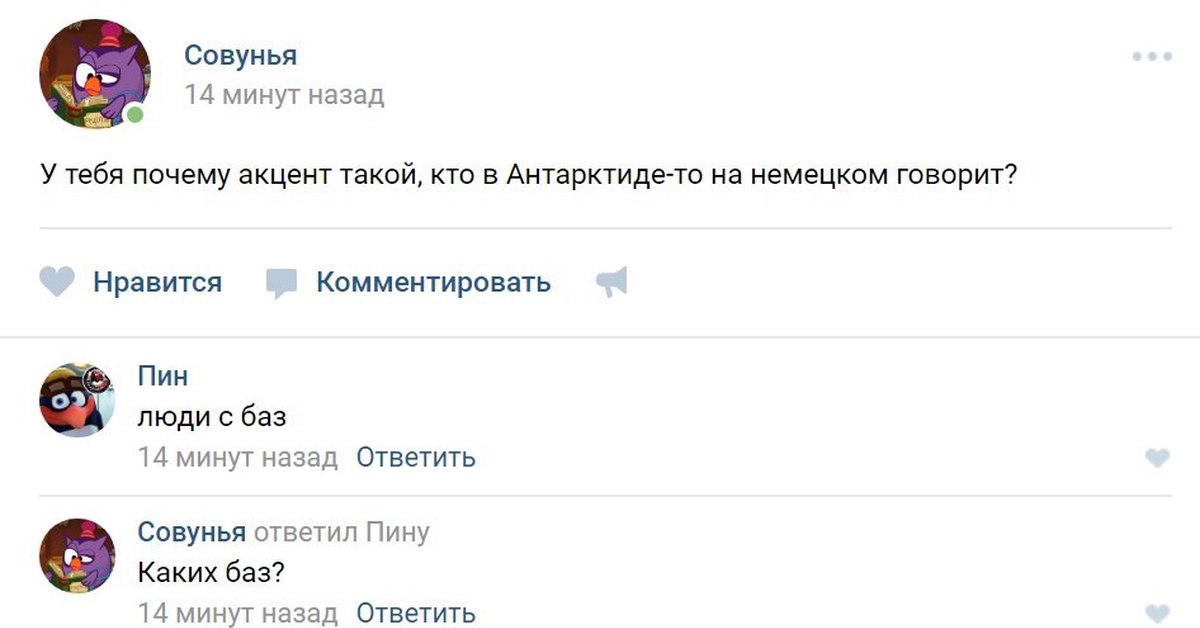 Почему в комментариях. Пин люди с баз. Пин Гитлер. Смешарики пин немец. Пин почему у тебя немецкий акцент.