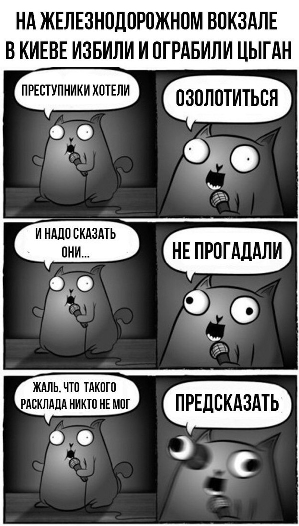 Не прогадали