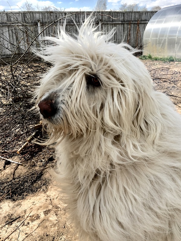 Весенний ветерок.