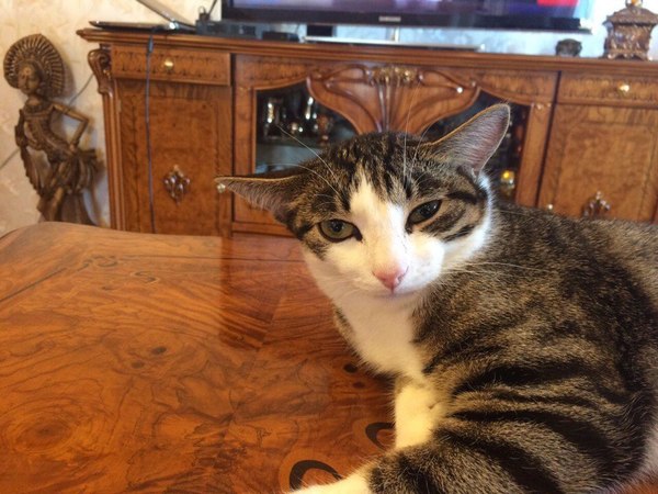 Утро с похмелья