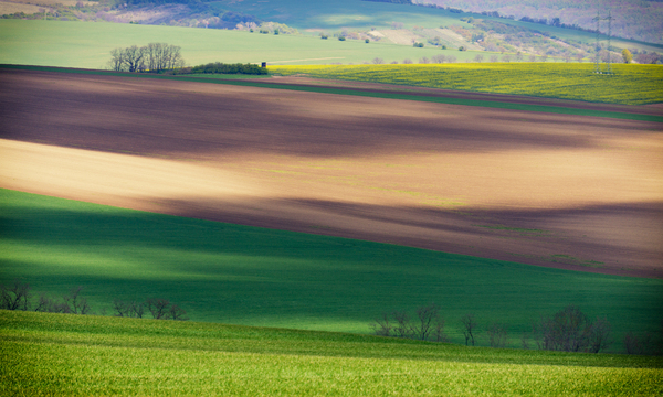 Hills of Moravia - My, Czech, Moravia, The hills, Field, Longpost