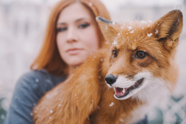 �������������� ��� ���