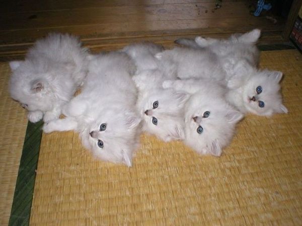 ��������� :)