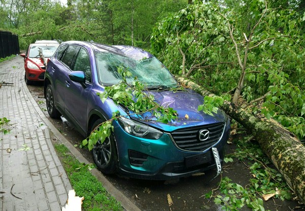 Today's hurricane in Mytishchi - Thunderstorm, The photo, Longpost, Weather, Hurricane