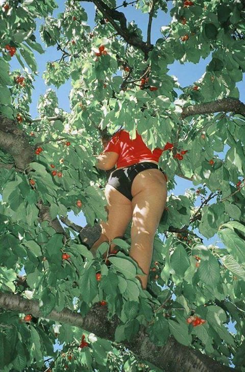 The cherry is ripe - Cherries, Girls, Spring, Booty