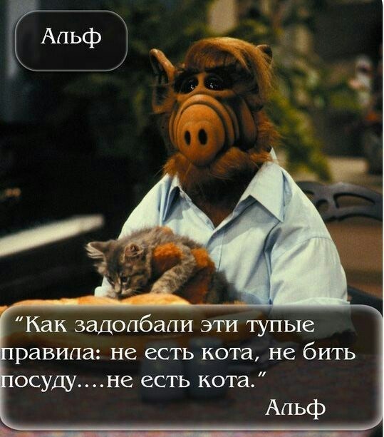 90s .. a little good Alpha to you) - 90th, Alf, Childhood, Childhood of the 90s, Longpost, Storyboard