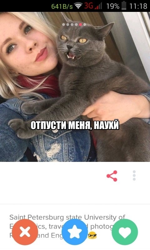 I came across this photo on tinder - My, Tinder, cat
