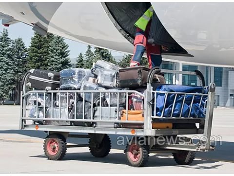 A story about how a child was left without luggage. - Пассажиры, Airline victory, My, Unloading