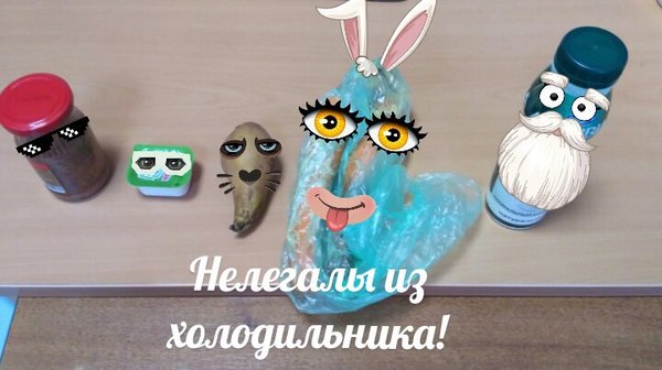 Нелегалы из холодильника! - Моё, Холодильник, Нелегалы, Тухлятина