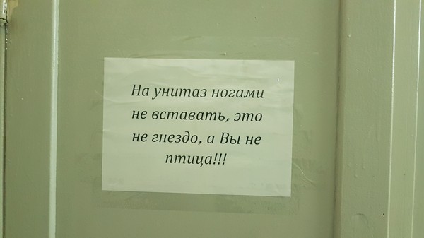 В туалете в студенческом общежитии - Моё, Общежитие, Универ, Туалет, Унитаз