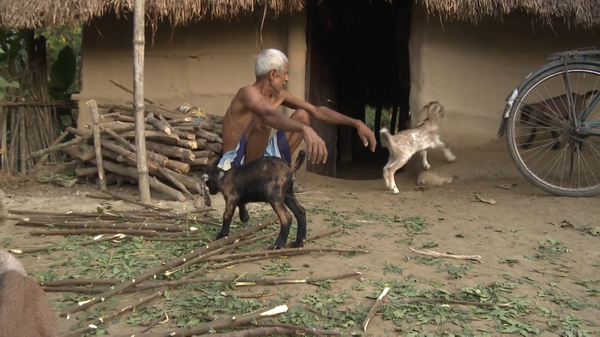 Part 1 - My, Nepal, Chitwan, Elephants, Rhinoceros, Rice fields, Video, Longpost