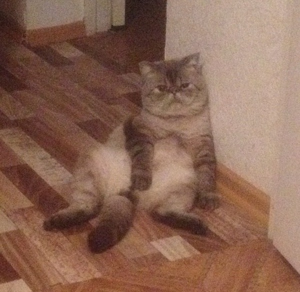 ����� ������� ��������� ���