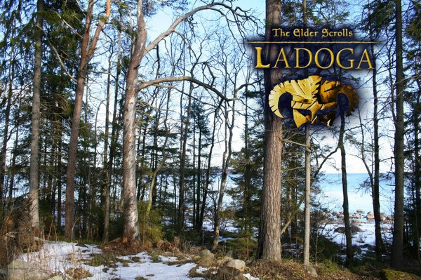 Skyrim on Ladoga - My, Ladoga, Ladoga lake, Skyrim, March, Spring, Landscape, Longpost, The Elder Scrolls V: Skyrim