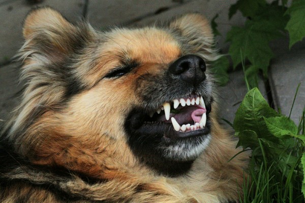 � ���������������� �� ����� ��� ������...