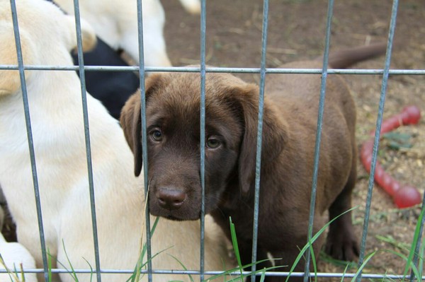 ��������� �������� ���������