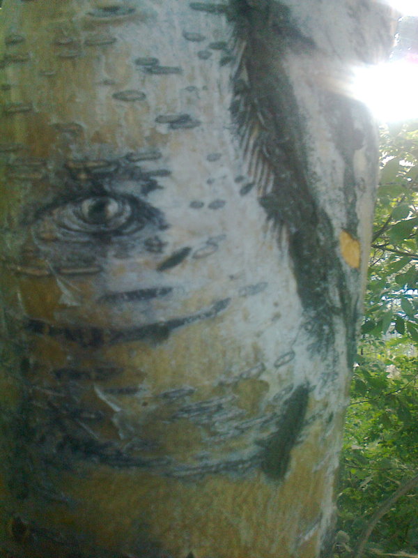 Wooden eye. - My, Tree, Eyes