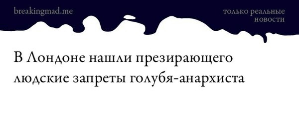 ������ �������� ������ ���!!!