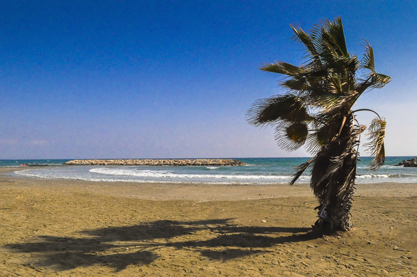 Magic cyprus - My, Cyprus, Sea, Landscape, Beach, Winter, The sun