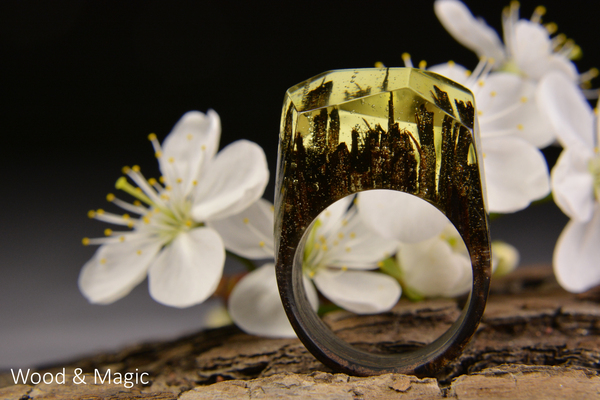 Wood and Epoxy Rings + Creative Photos (Part 3) - My, Handmade, Ring made of wood, Epoxy resin jewelry, Longpost