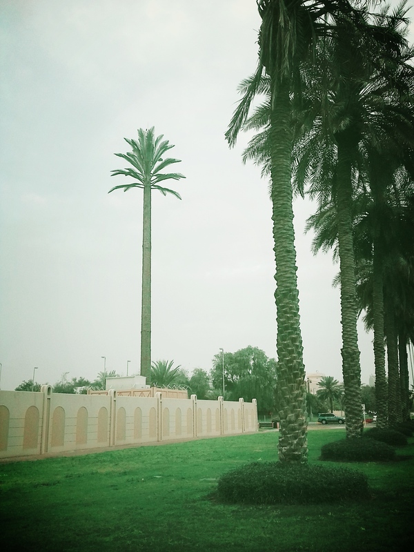 All around deception! - My, , UAE, Tower, Palm trees, Disguise, Connection