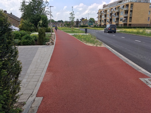 Bicycle lanes in Holland - My, Bike path, Cyclist, Longpost