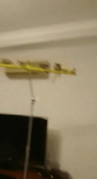  ,    ....