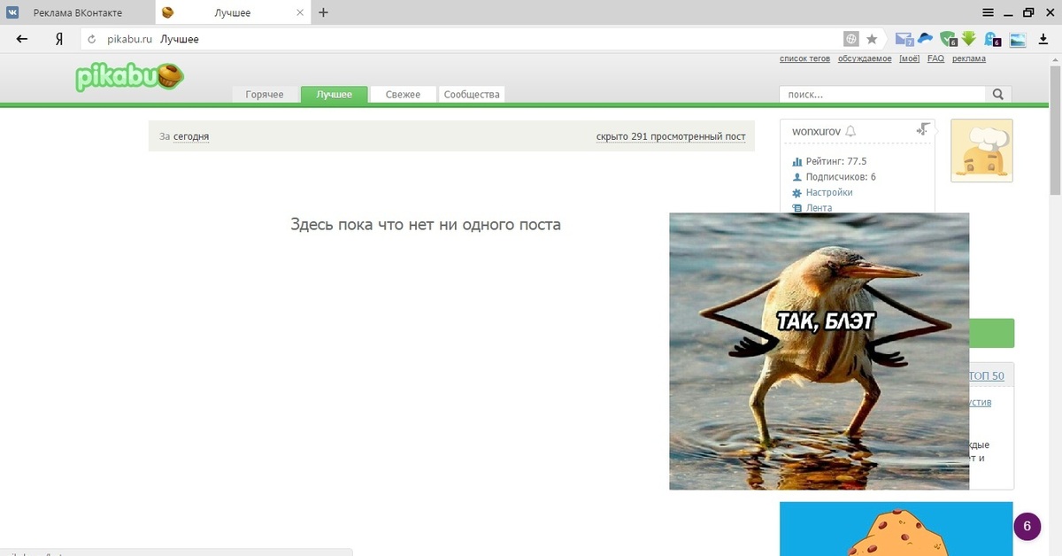 Пикабу видео. Пикабу лучшее. Пикабу лучшее приколы. Пикабу добрый. Пикабу лучшее сегодня.