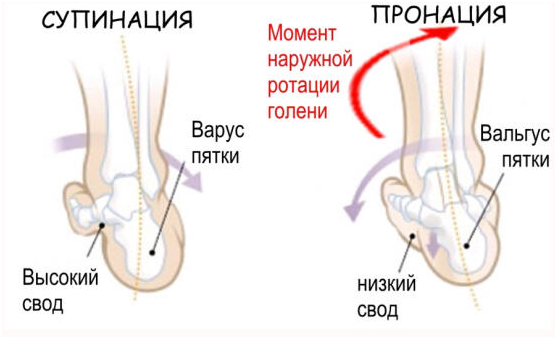 Thoracic kyphosis test - My, Sport, Physical Education, Тренер, Training program, Kyphosis, Sports Tips, Longpost