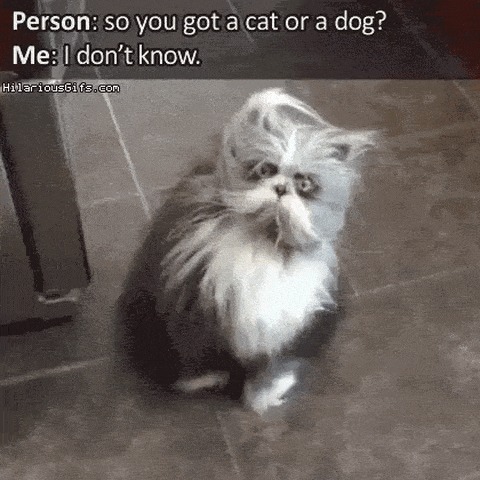     ? , , ,    