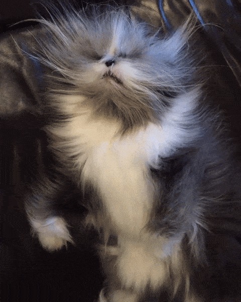      ? , , ,    