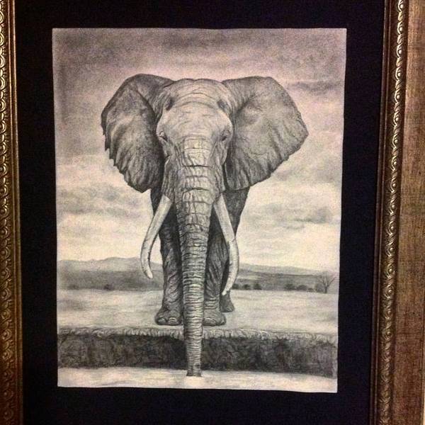 �������