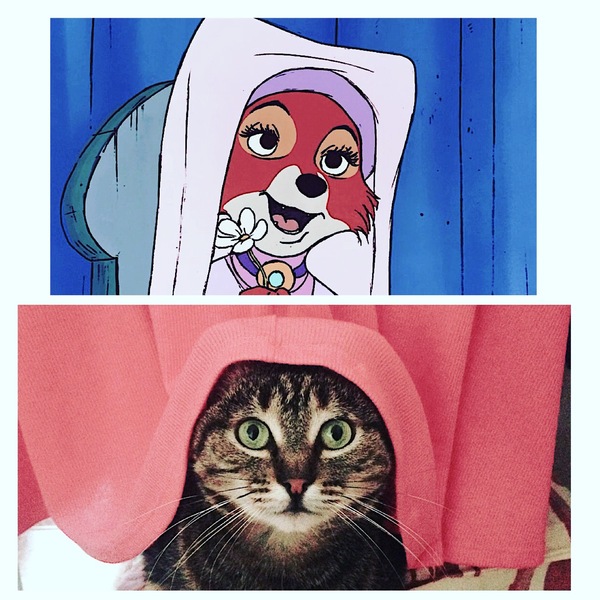 ����� �� �����, � ����� �������� ���� ������