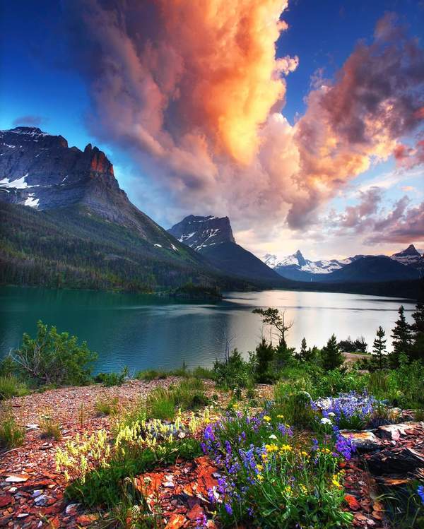Glacier National Park. - , Nature, The mountains, Clouds, Flowers, The photo