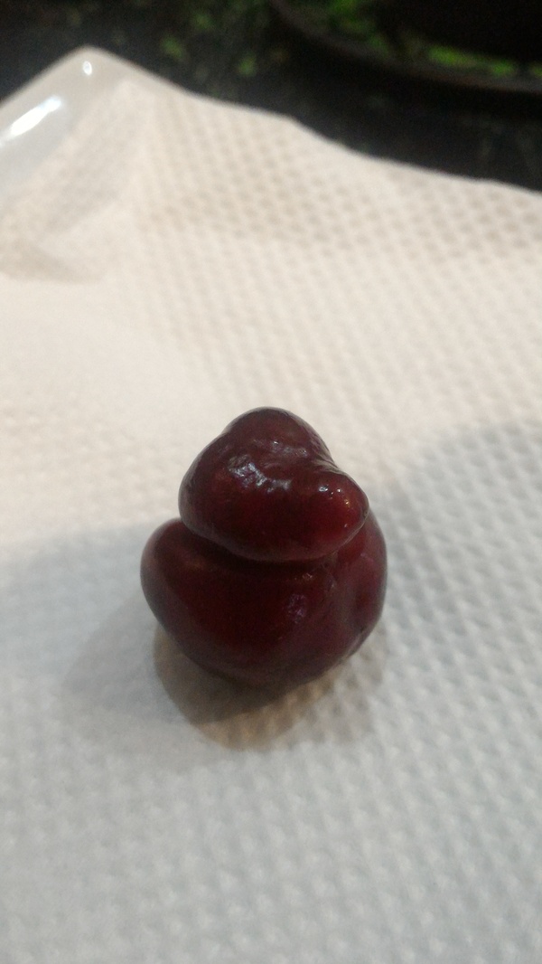 Nature is naughty.. Cherry in the form of a duck.. - Nature, My, Milota, Similarity, Cherries, Duck