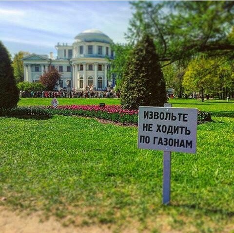 Peter is so Peter - The culture, Saint Petersburg, Lawn