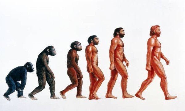 Proved that men are more beautiful than women - Female, Men, beauty, Evolution, Darwin's theory, Longpost, Women