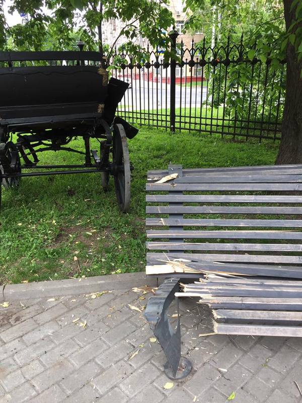 In the Leningrad park of Moscow, horses were carried and a cart with children was overturned - Moscow, Horses, State of emergency, Longpost