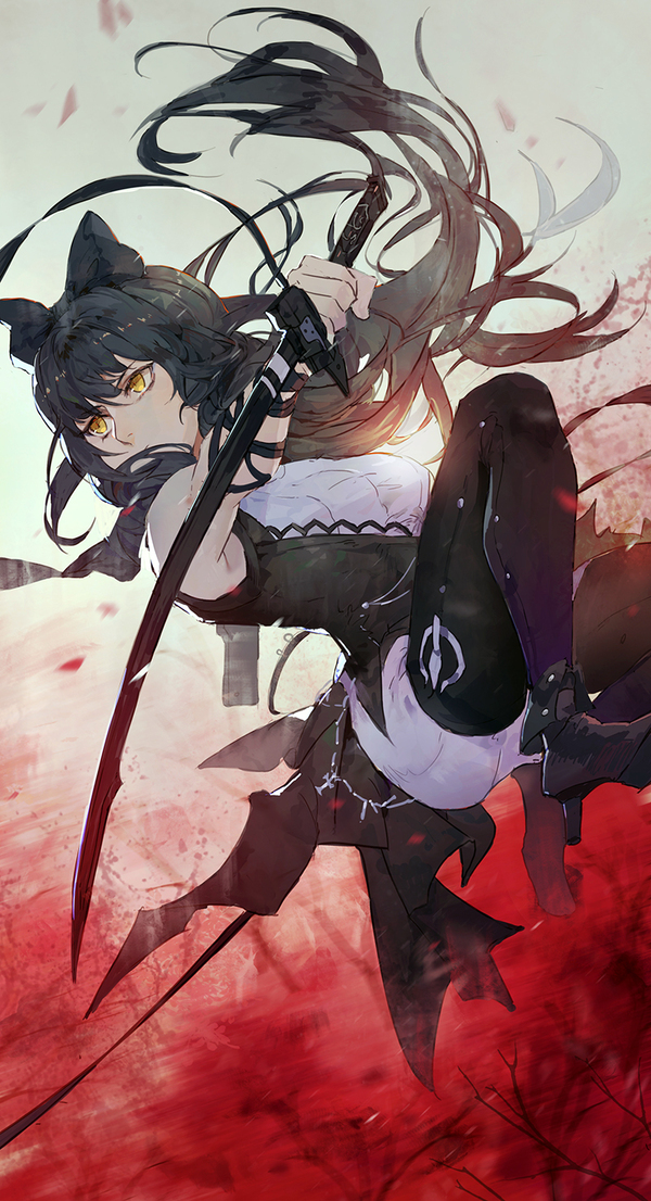  . RWBY, Blake Belladonna, ,  