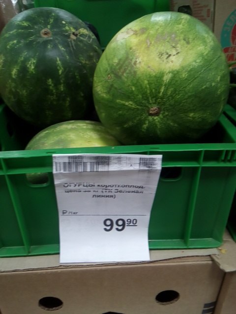 This year is a great crop of cucumbers. - Watermelon, My, Score, Cucumbers, Price tag