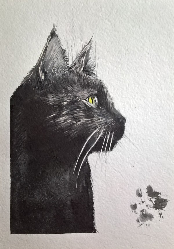 Портрет кота