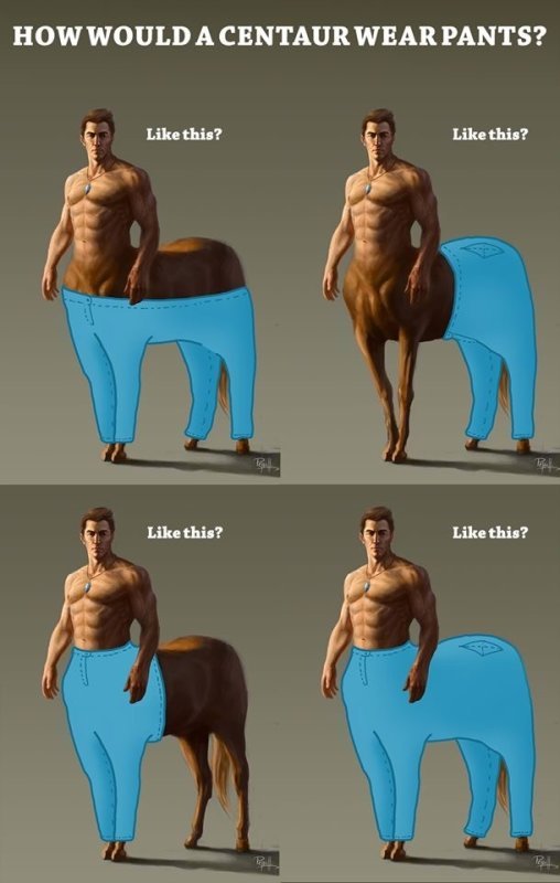 How would a centaur wear pants? - Answer, Honestly stolen