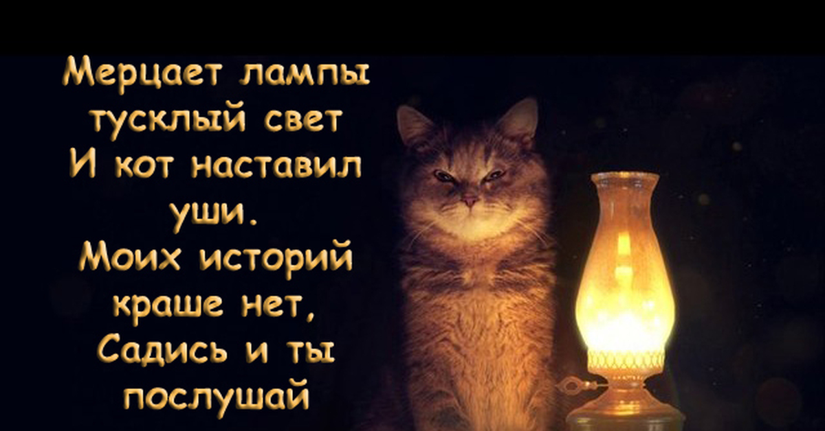 Тусклый свет текст. Лампа кот. Кот лампа истории. Котик с лампой. Кот с лампой настало время историй.