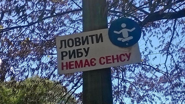 Found on one of the lakes in Kyiv - My, A fish, Signs, Fishing, Meditation