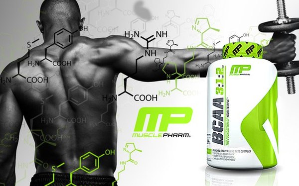 Revolution in the world of sports nutrition?! - Sport, Sports nutrition, Rocking chair, Gym, Amino acids, Muscle, Body-building